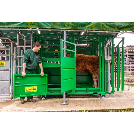 Behandlungsstand A6000