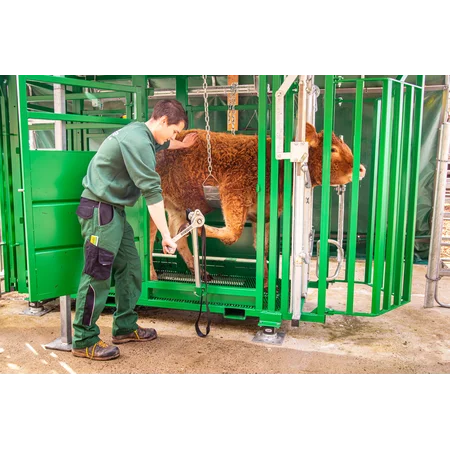 Behandlungsstand A6000