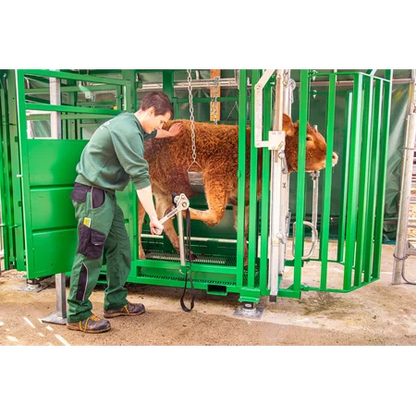 Behandlungsstand A6000