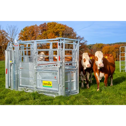 Behandlungsstand A6000