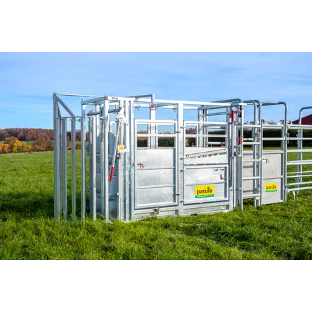 Behandlungsstand A6000
