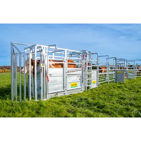 Behandlungsstand A6000