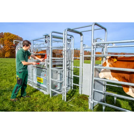 Behandlungsstand A6000