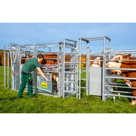 Behandlungsstand A6000