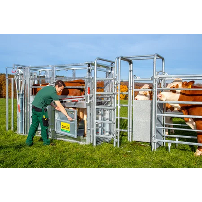 Behandlungsstand A6000