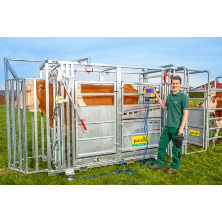 Behandlungsstand A6000