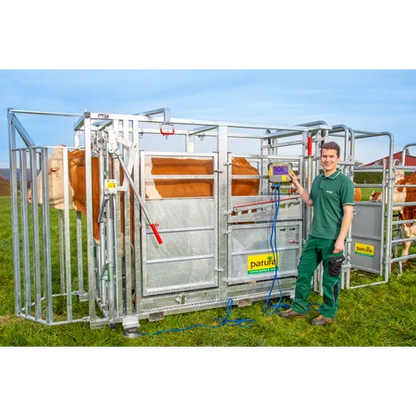 Behandlungsstand A6000