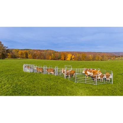 Standard Behandlungsanlage für mittlere bis große Tierbestände - Komplettset