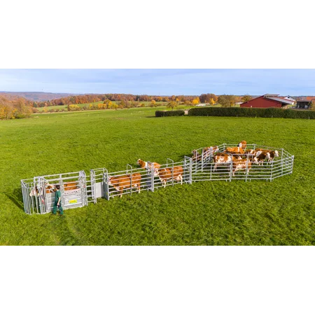 Standard Behandlungsanlage für mittlere bis große Tierbestände - Komplettset