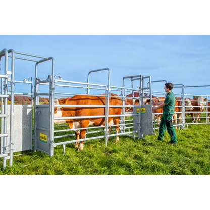 Standard Behandlungsanlage für mittlere bis große Tierbestände - Komplettset