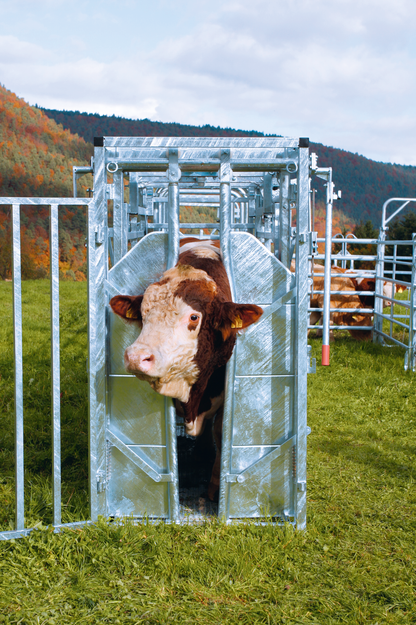 Behandlungsstand A8000