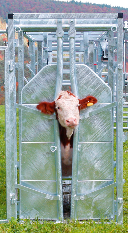 Behandlungsstand A8000