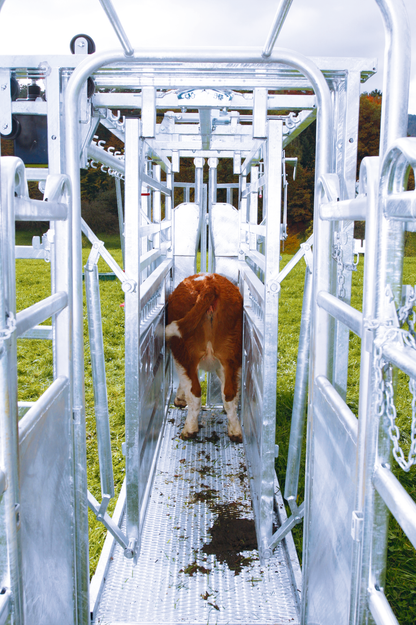 Behandlungsstand A8000