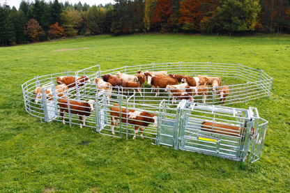 Behandlungsstand A8000