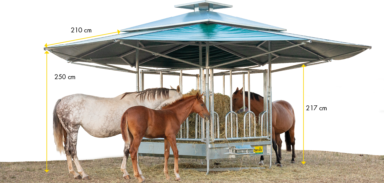 Dach für Klima-Raufe