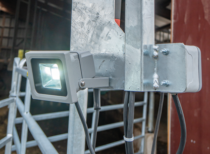 Klauenpflegestand Profi E Höhe 2,50 m