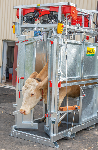 Klauenpflegestand Profi E Höhe 2,50 m