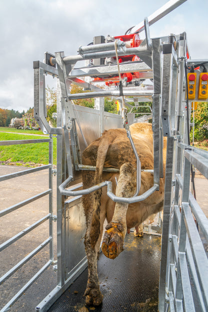 Klauenpflegestand Profi E Höhe 2,50 m