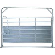 Schwingtor-8 Plus Breite 3,05 m, H= 2,20 m, vz