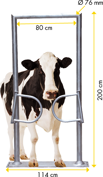 Ein-Wege-Tor, 2-flügelig, mit Rahmen