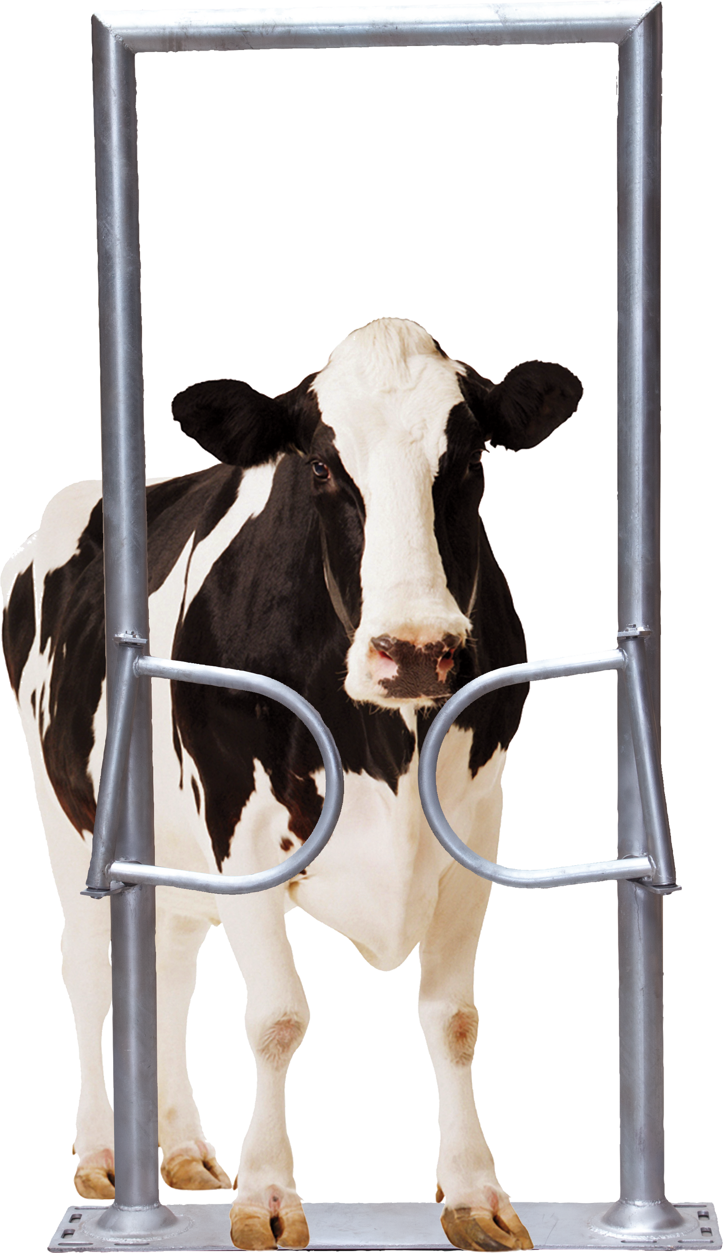 Ein-Wege-Tor, 2-flügelig, mit Rahmen