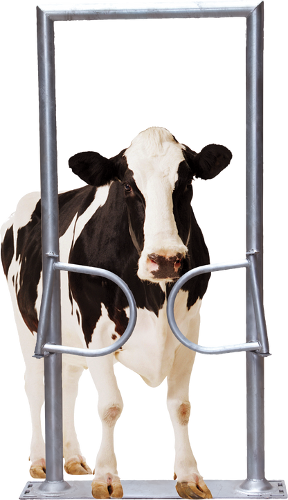 Ein-Wege-Tor, 2-flügelig, mit Rahmen