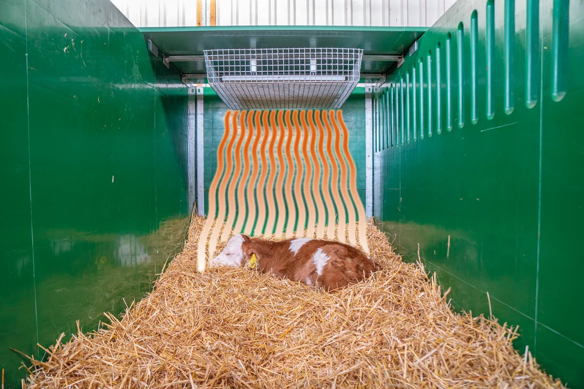 Abdeckung Kälberbox