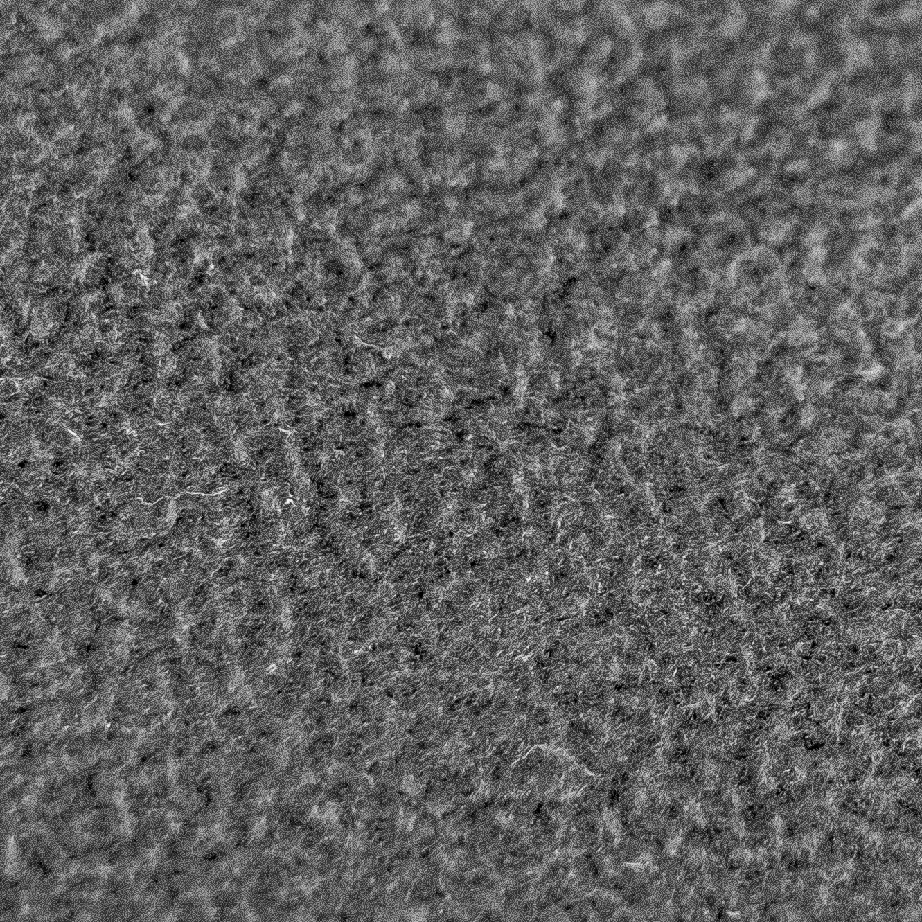 PATURA Kälberdecke Fleece