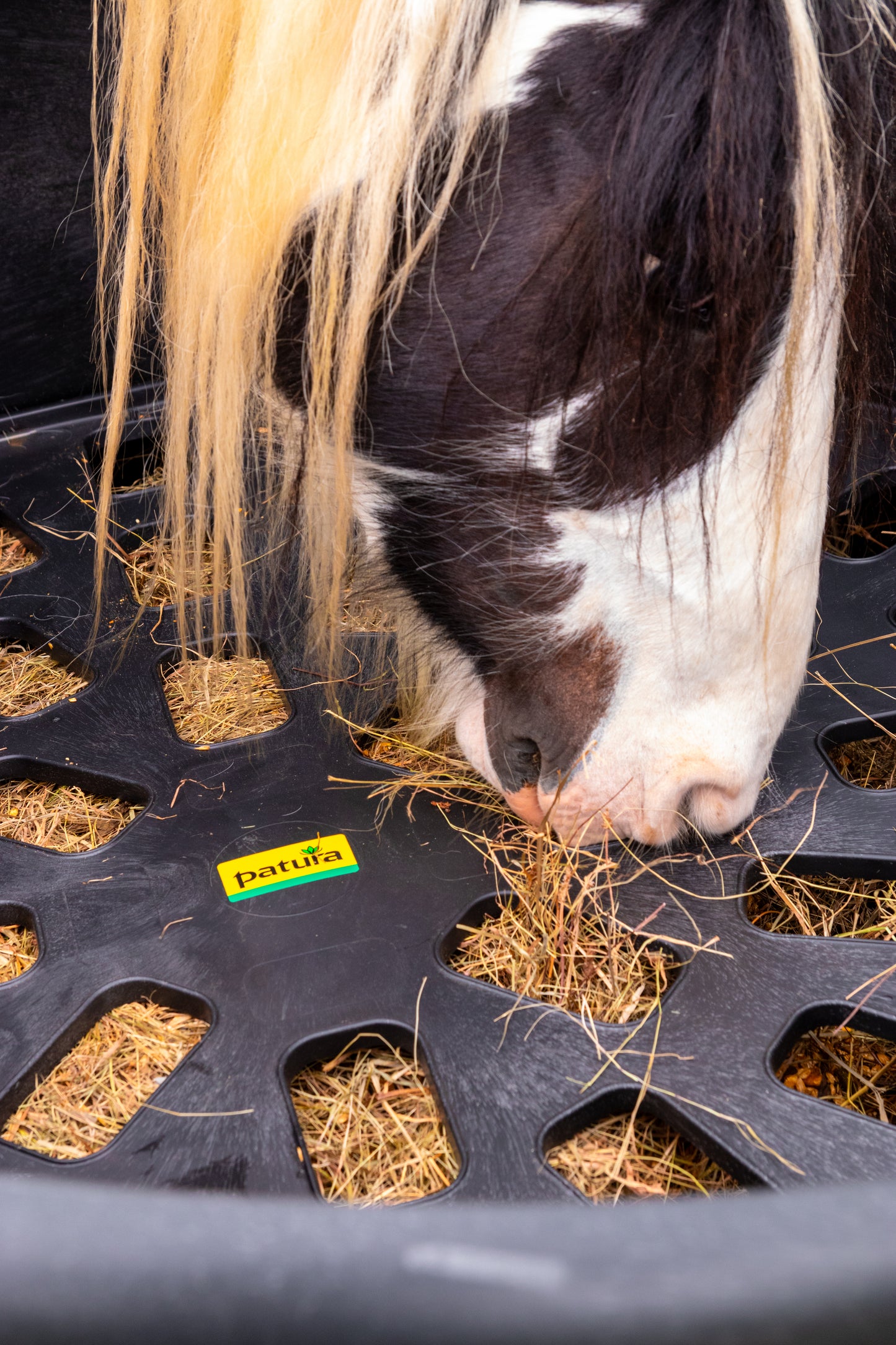 Kunststoff-Futterring Slow-Feeder d= 1,25 m, h= 0,78 m, 3-teilig