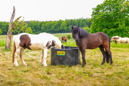 Kunststoff-Futterring Slow-Feeder d= 1,25 m, h= 0,78 m, 3-teilig