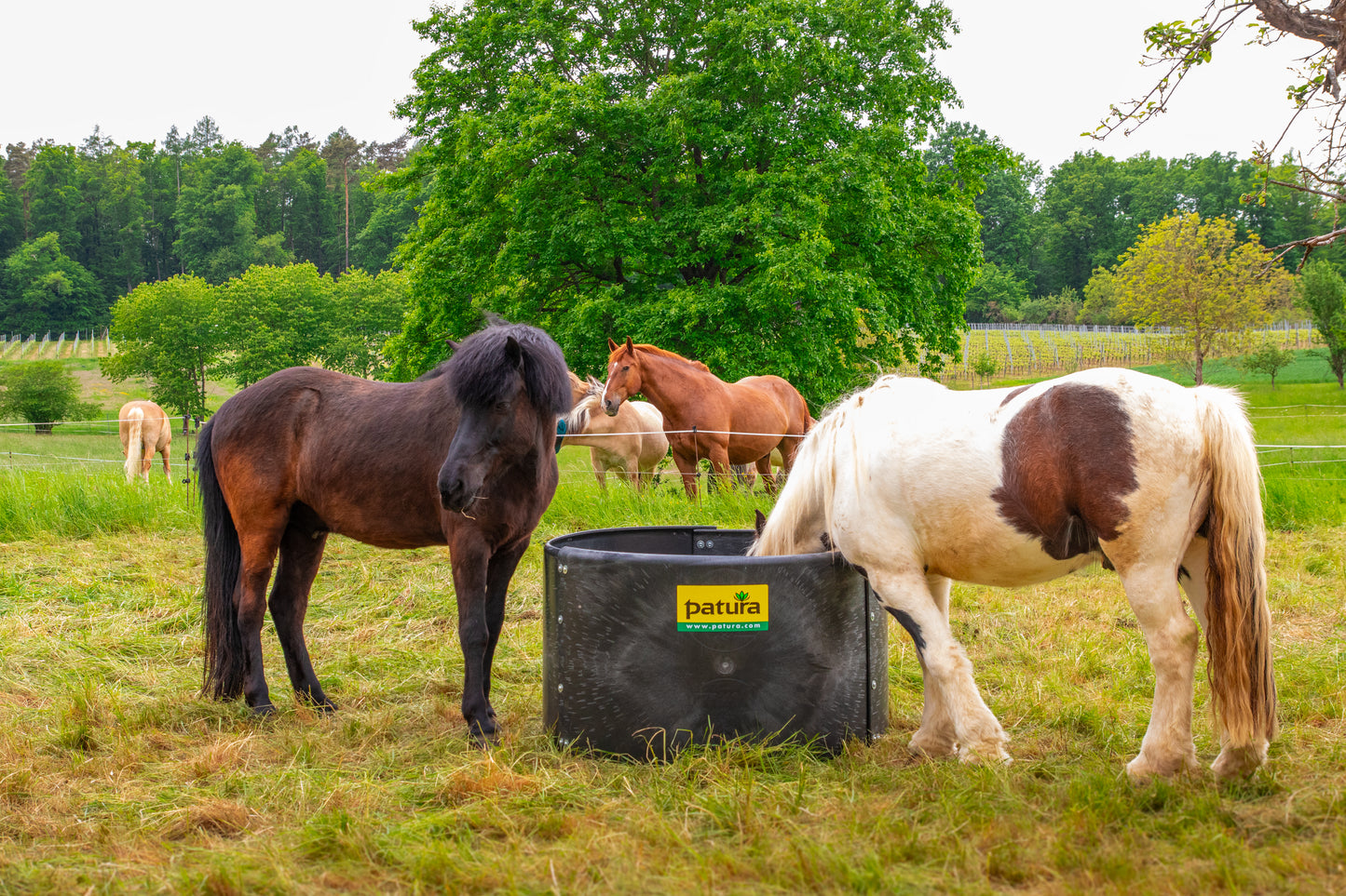 Kunststoff-Futterring d= 1,25 m, h= 0,78 m, 3-teilig