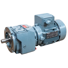 Antriebseinheit (Motor und Getriebe) Elektrische Pendel-Viehbürste Modell 2021