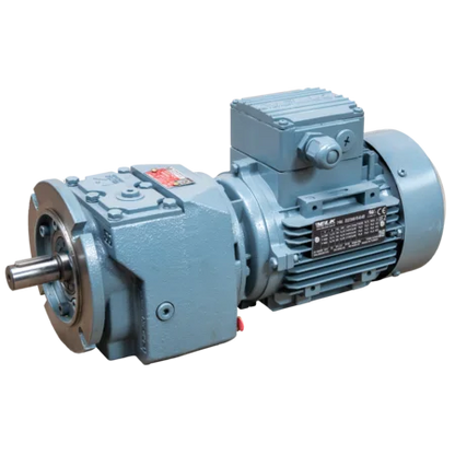 Antriebseinheit (Motor und Getriebe) Elektrische Pendel-Viehbürste Modell 2021