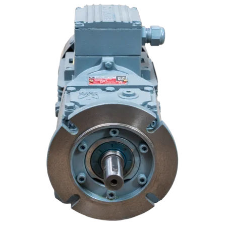 Antriebseinheit (Motor und Getriebe) Elektrische Pendel-Viehbürste Modell 2021