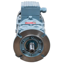 Antriebseinheit (Motor und Getriebe) Elektrische Pendel-Viehbürste Modell 2021