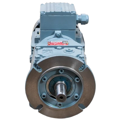 Antriebseinheit (Motor und Getriebe) Elektrische Pendel-Viehbürste Modell 2021