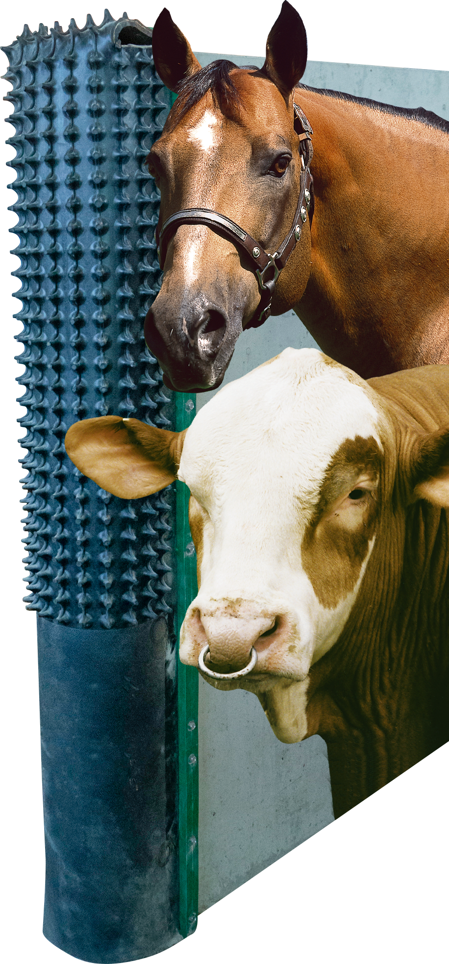 PATURA Kratzmatte inkl. Montagematerial und Karton