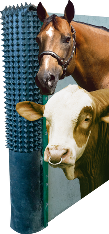 PATURA Kratzmatte inkl. Montagematerial und Karton