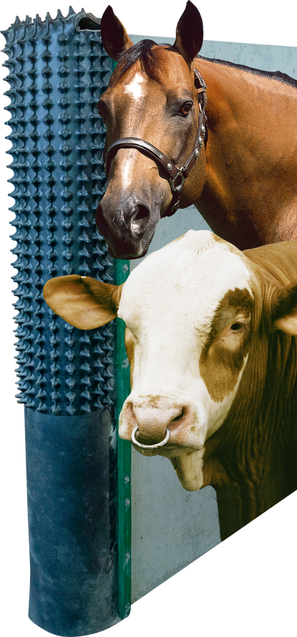 PATURA Kratzmatte inkl. Montagematerial und Karton