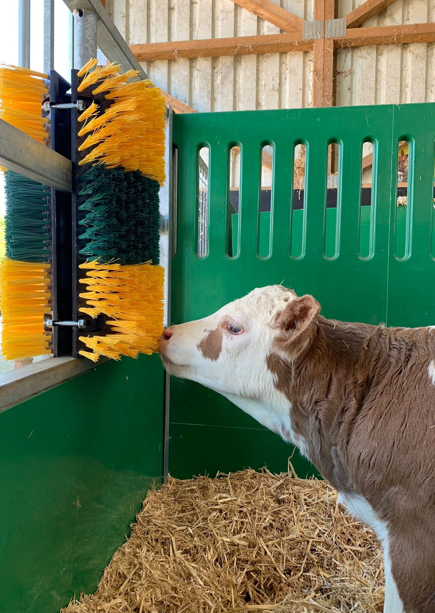 Kratzbürste Multifix für Wand- und Pfostenmontage 50 x 30 cm
