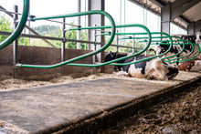 Flexibler Liegeboxenbügel PATURA PRIMA