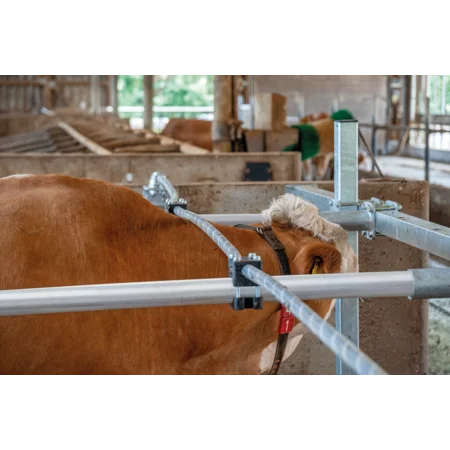 Flexibles Nackenseil