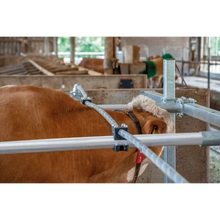 Flexibles Nackenseil