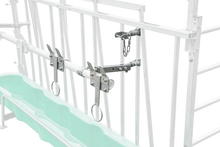 Nuckeleimer-Montagesatz modular 5/2 für Kälberhütte Superstar