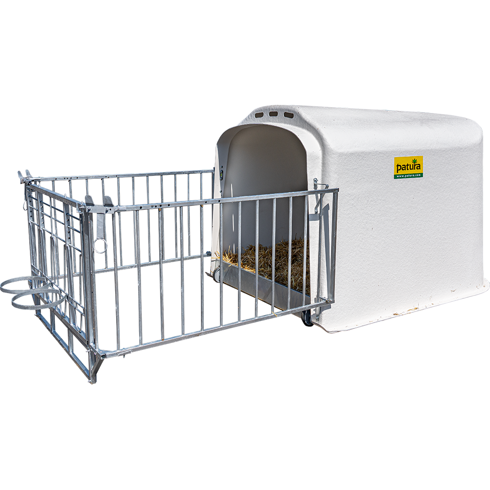 Großraum Kälberhütte Paarhaltung mit Umzäunung