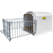 Großraum Kälberhütte Paarhaltung mit Umzäunung