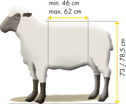 Behandlungsstand für Schafe