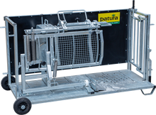 Behandlungsstand für Schafe