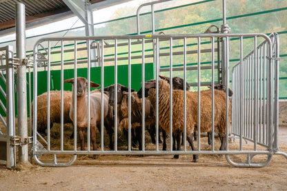 Absperrgitter Duofix L= 2,00 m, H= 1,10 m