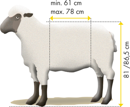 Behandlungsstand für Schafe